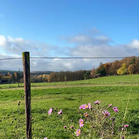 Eifel Luna *