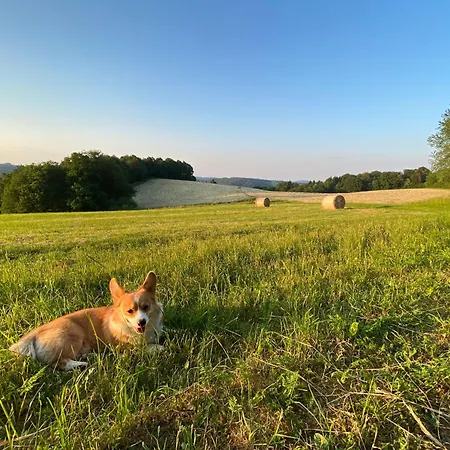 Eifel Luna Ohlenhard